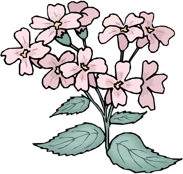 花朵花草鮮花矢量EPS格式1330