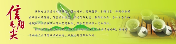 信陽毛尖燈片圖片