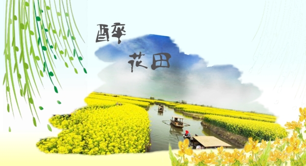 油菜花banner