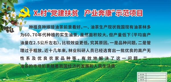 油茶種植