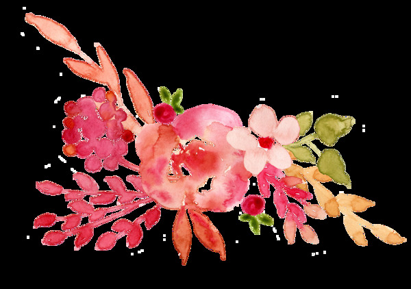 艳丽花卉卡通透明素材
