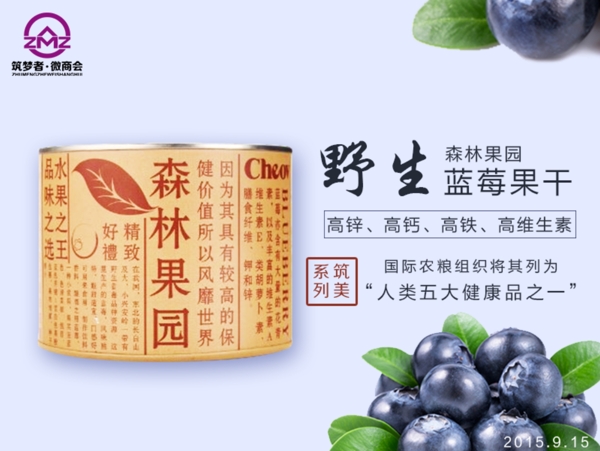 淘宝野生蓝莓宣传图