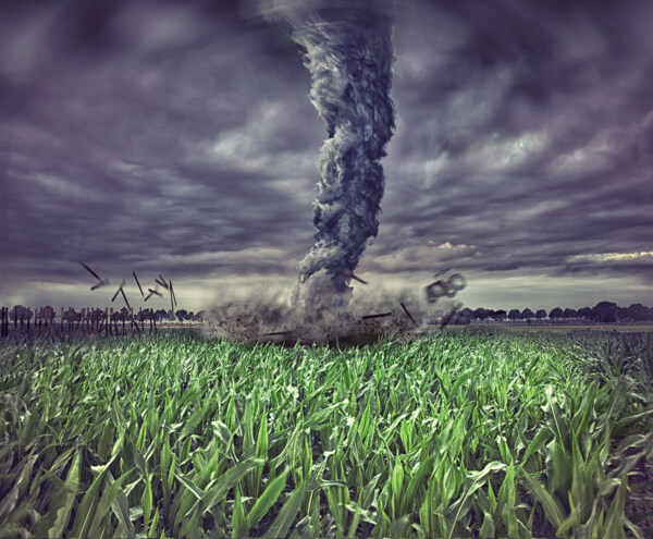 田地中的龙卷风图片
