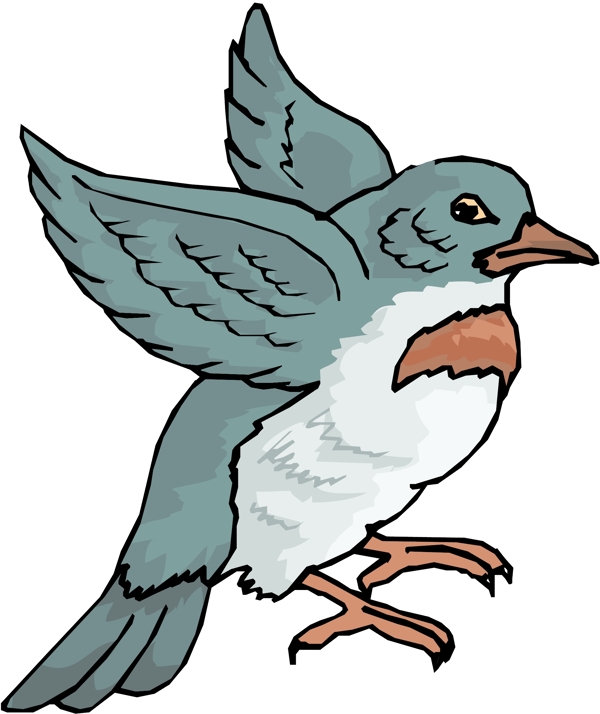 各種鳥類鳥動物矢量素材EPS格式0195