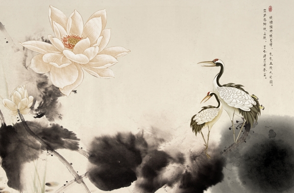 荷花