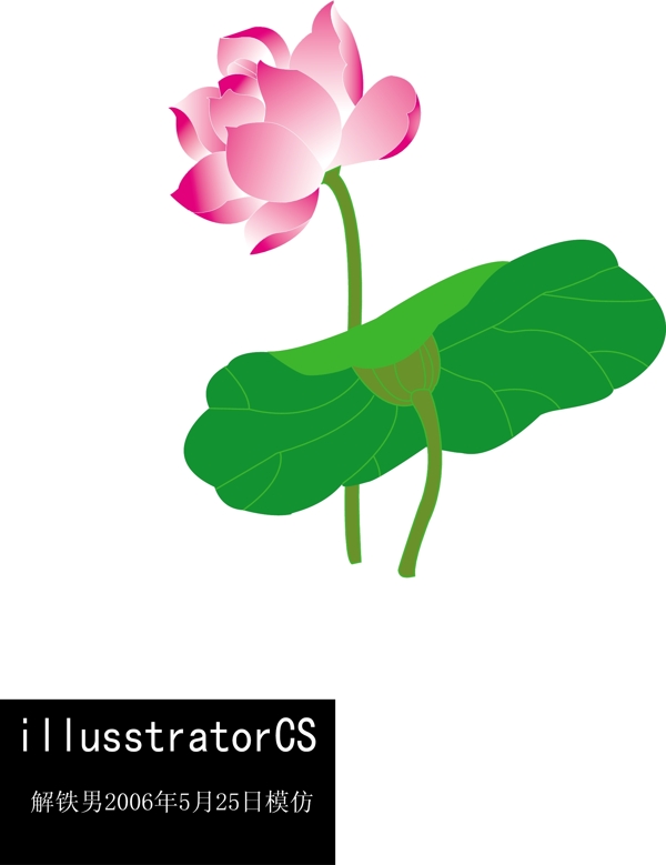 蓮花的CG模擬