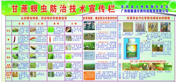 螟蟲