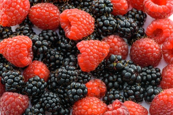 黑红野生山莓水果
