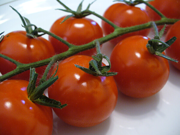 西红柿番茄高清图片