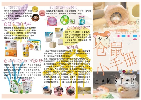 糖果小寵倉鼠小手冊正面圖片