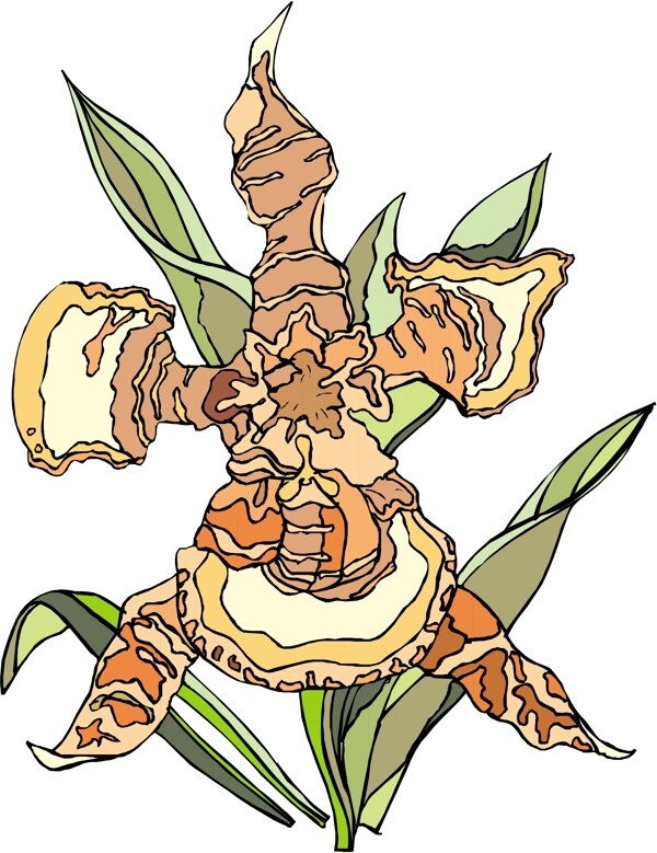 花卉植物矢量素材EPS0976