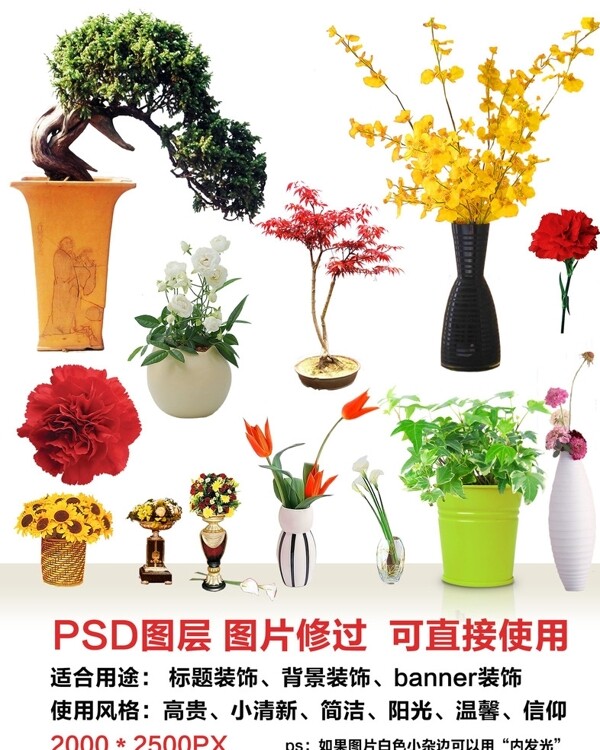 盆栽花盆