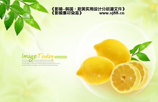 柠檬新鲜健康营养水果影骑韩国实用设计分层源文件PSD源文件