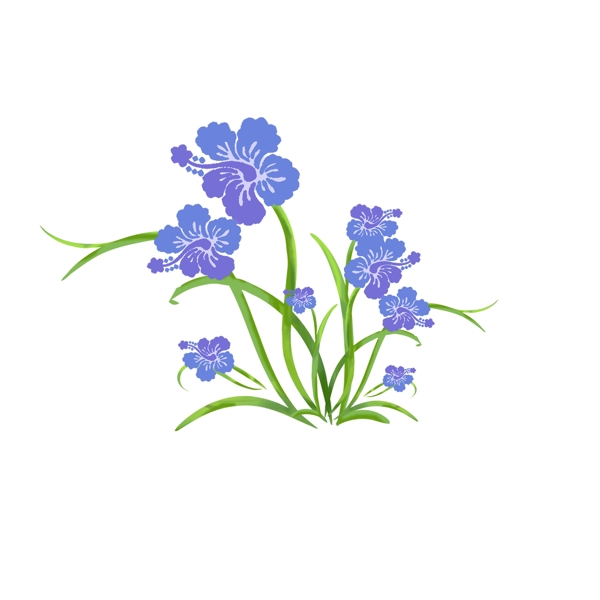 手绘植物花卉元素3