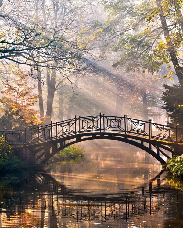 木橋小溪景色圖片
