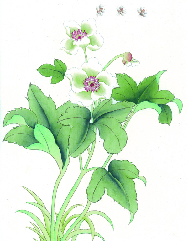 招蜂