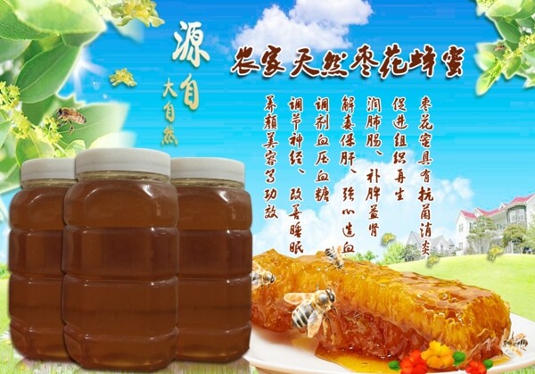 美工