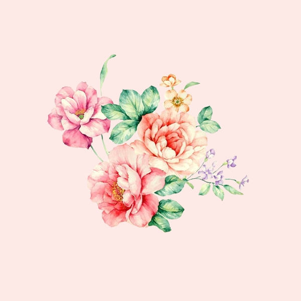 位圖psd植物花朵免費(fèi)素材