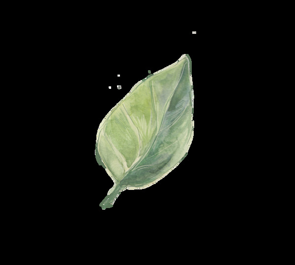 飄揚枝葉透明裝飾素材