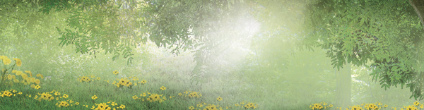 樹林花朵背景