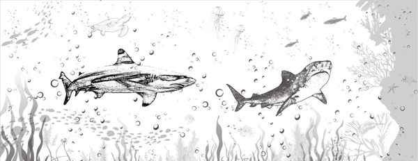 墻繪鯊魚海洋