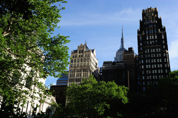 纽约曼哈顿第道中央公园周围高楼图片