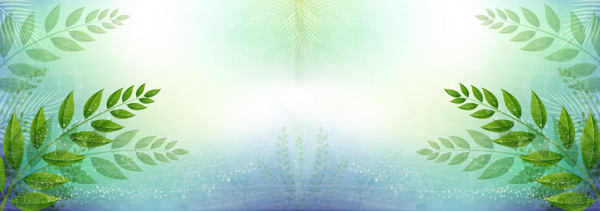 綠色植物小清新banner