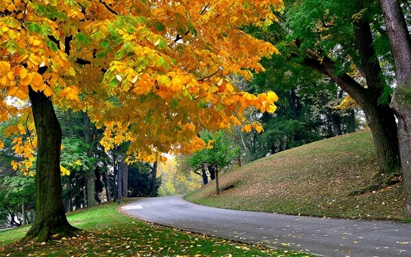 秋季自然景观图片
