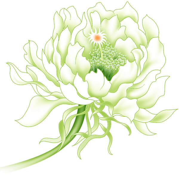 位圖時尚休閑女裝成熟優(yōu)雅女裝植物花卉免費素材