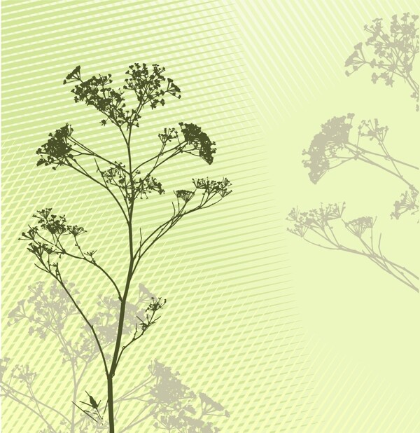 草
