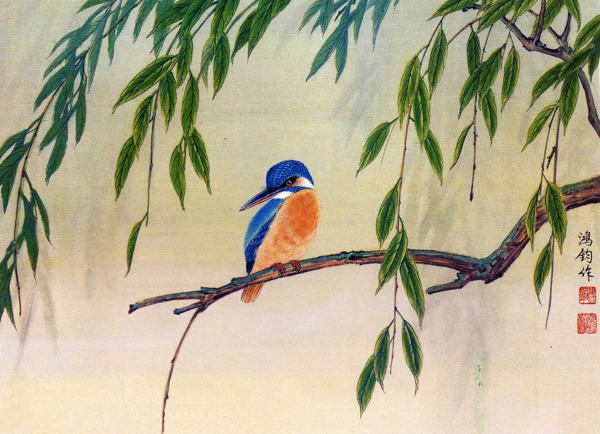 柳葉翠鳥(niǎo)圖片