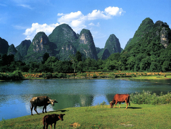 桂林山水圖片