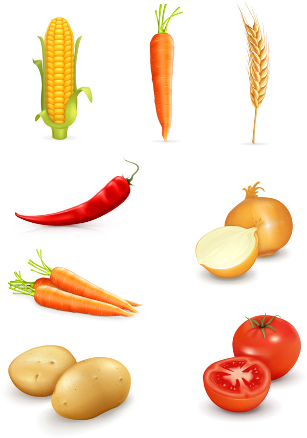 不同的蔬菜写实风格矢量素材集合