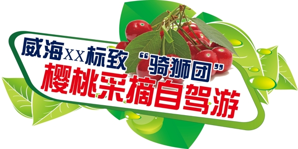 櫻桃采摘自駕游圖片