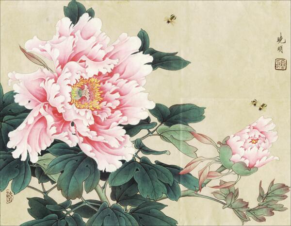 牡丹蜂蜜國(guó)畫(huà)圖片