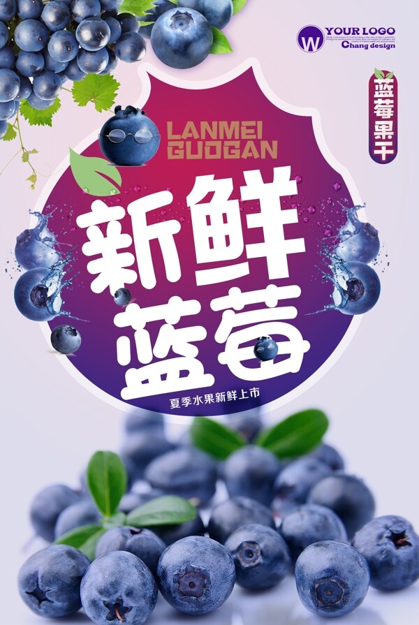 夏季新鲜蓝莓海报设计.psd