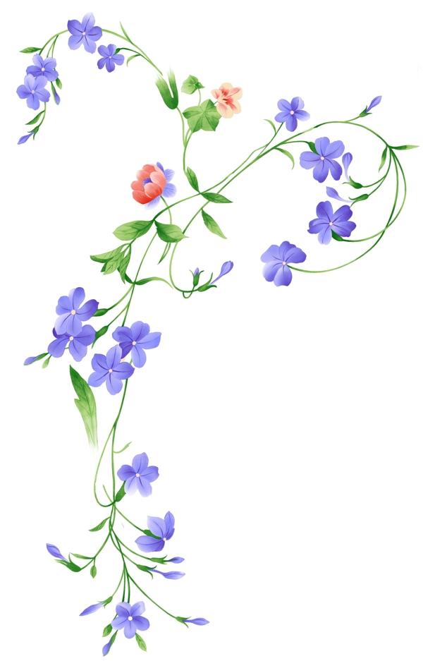 水彩花