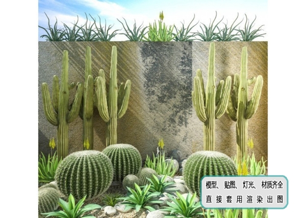 植物墙沙漠植物仙人掌组合盆景