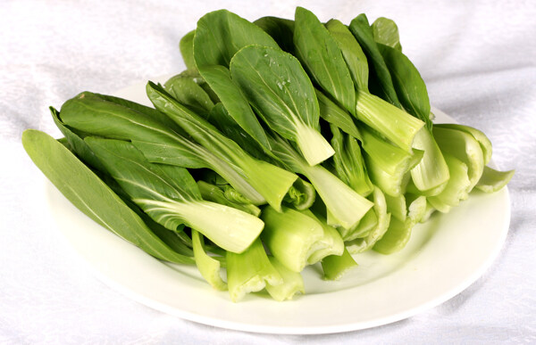 小青菜圖片