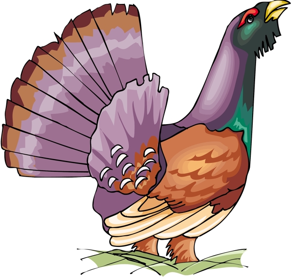 各種鳥類鳥動物矢量素材EPS格式0502