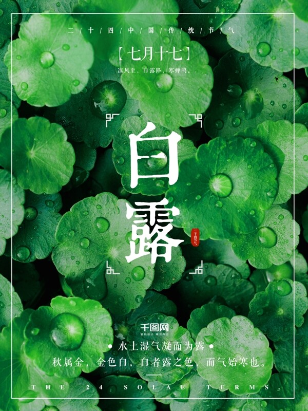 白露二十四節(jié)氣清新綠葉海報(bào)設(shè)計(jì)微信配圖