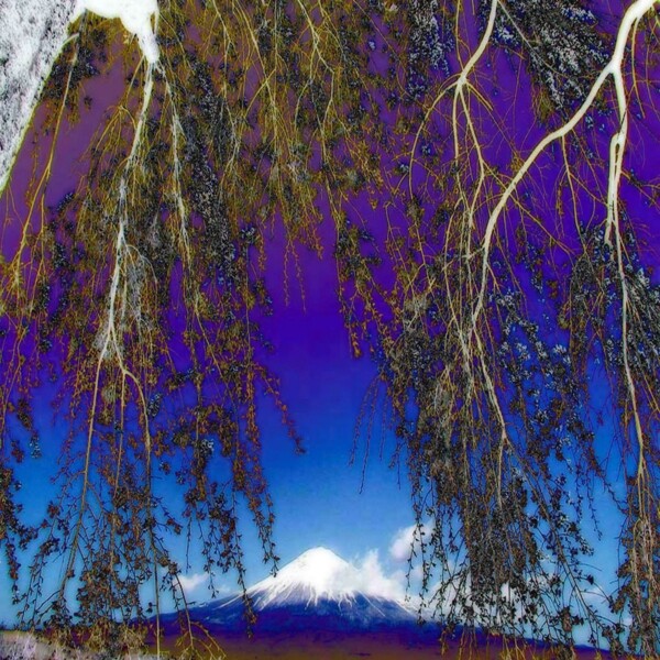 風景山