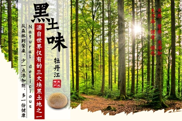 山珍