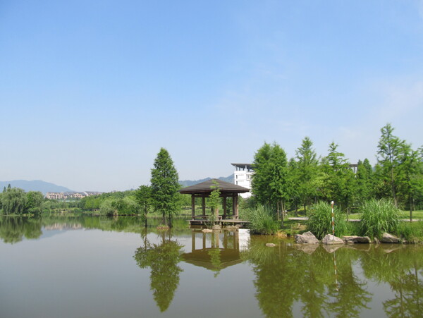 湖中一亭圖片