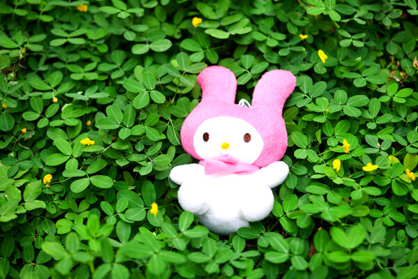 草地上的玩具兔图片