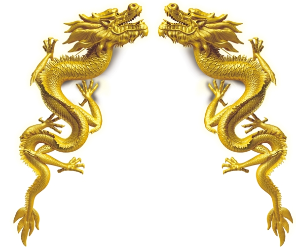 金龍ps素材