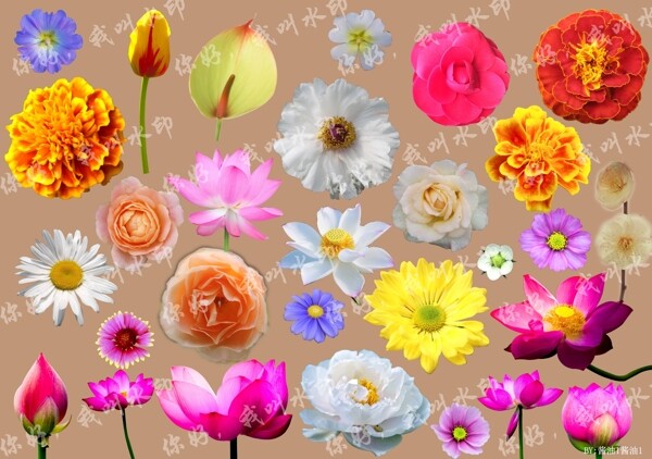 小花
