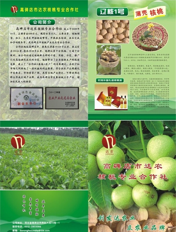 核桃宣傳頁(yè)圖片