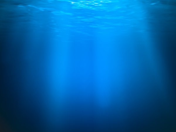 海水