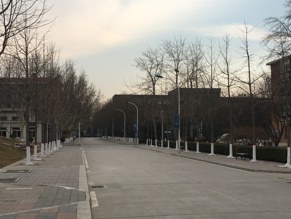 校園小道